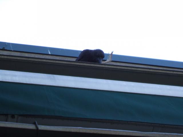 2006_0304GulfIslands20060227.JPG