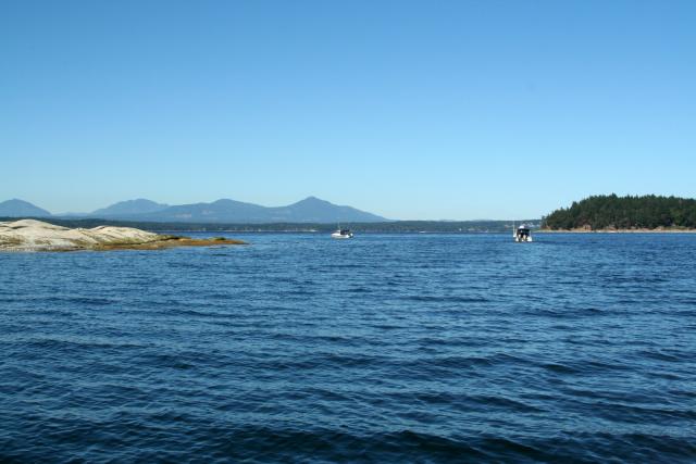 IMG_1012.JPG