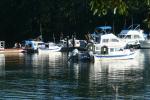 IMG_1074.JPG