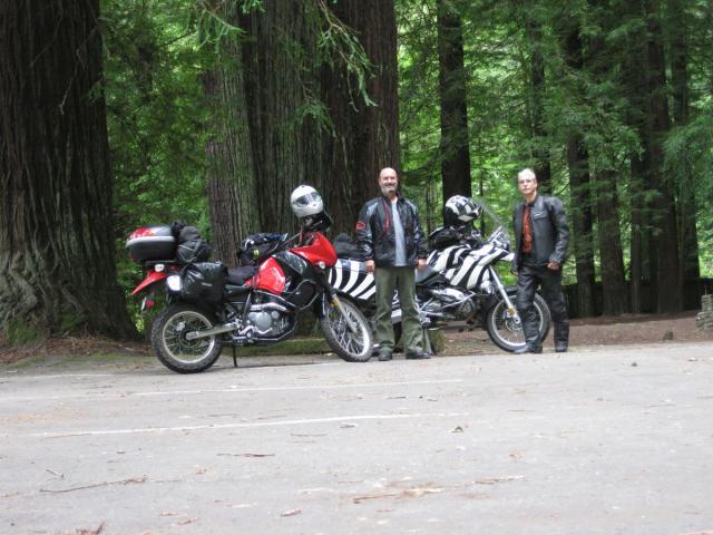 Grizzly Creek Redwoods State Park