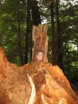 Sitka-2009-Dana-28