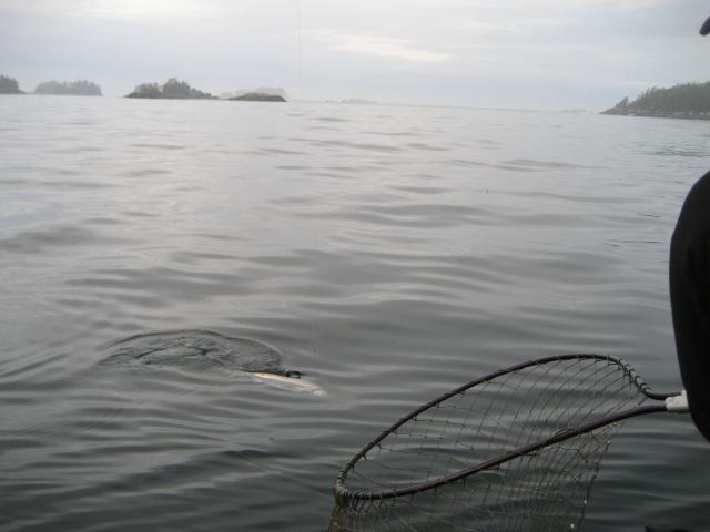 Sitka-2009-Liz-010
