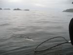 Sitka-2009-Liz-010