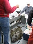 Sitka-2009-Liz-070