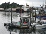Sitka-2009-Liz-088