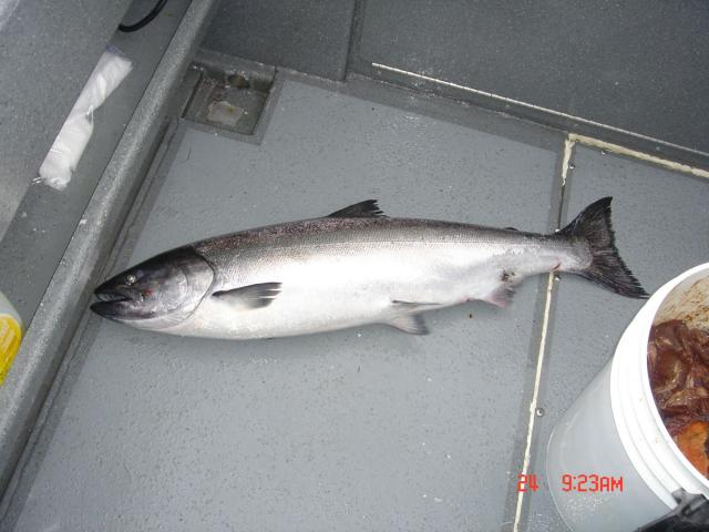Sitka-2009-Mom-022