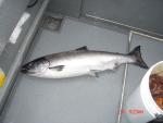 Sitka-2009-Mom-022