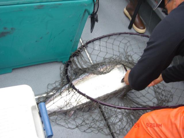 Sitka-2009-Mom-023