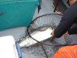 Sitka-2009-Mom-023