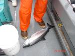 Sitka-2009-Mom-029