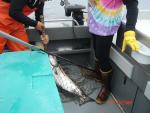 Sitka-2009-Mom-033