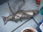 Sitka-2009-Mom-038