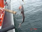 Sitka-2009-Mom-050