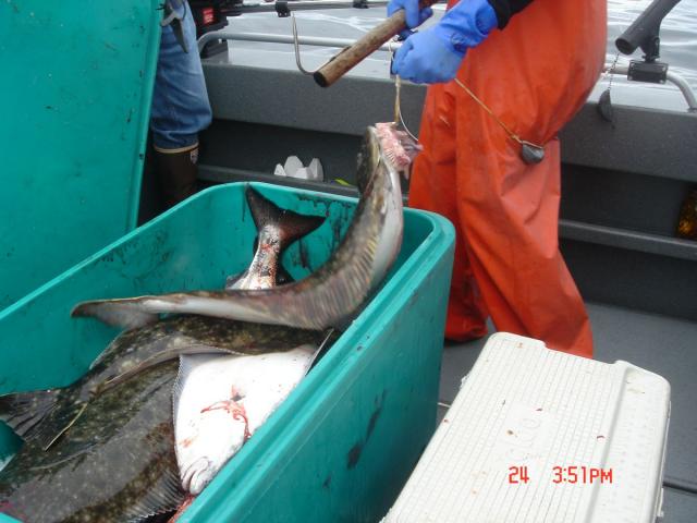 Sitka-2009-Mom-053