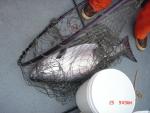 Sitka-2009-Mom-056