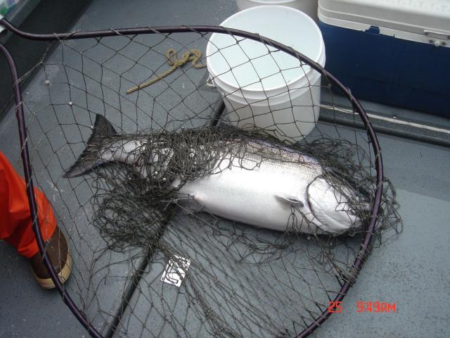 Sitka-2009-Mom-057