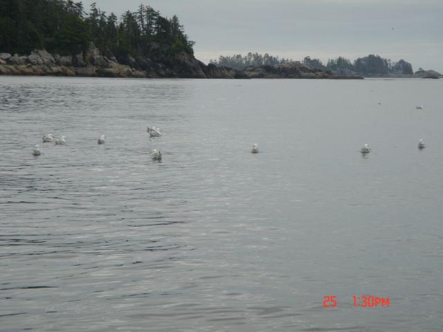 Sitka-2009-Mom-064