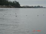 Sitka-2009-Mom-064