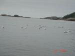 Sitka-2009-Mom-065