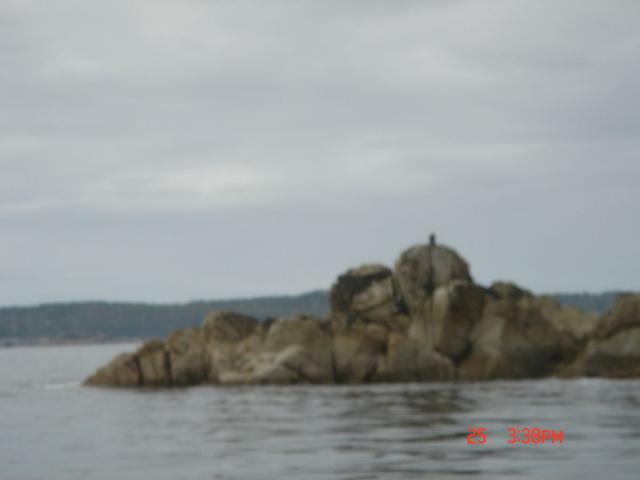 Sitka-2009-Mom-067