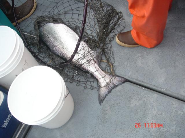 Sitka-2009-Mom-068