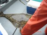Sitka-2009-Mom-073