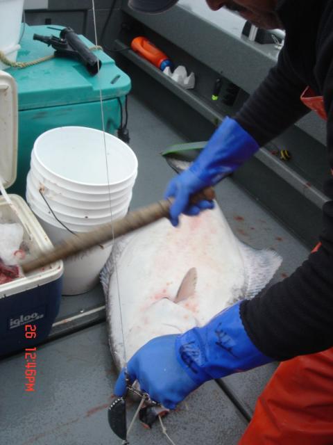 Sitka-2009-Mom-080