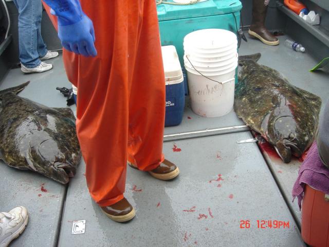 Sitka-2009-Mom-082