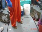 Sitka-2009-Mom-082