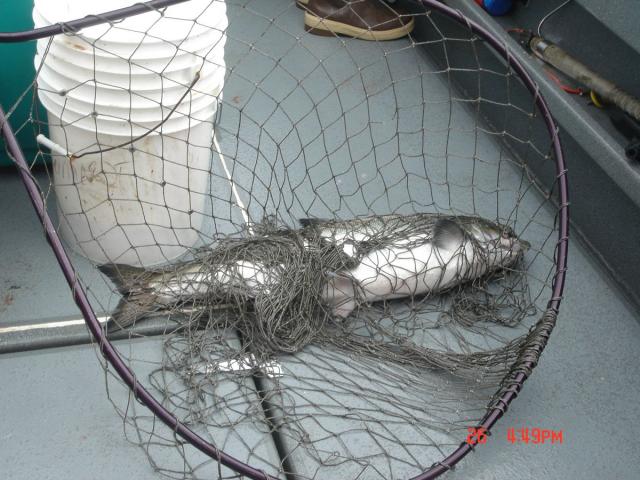 Sitka-2009-Mom-095