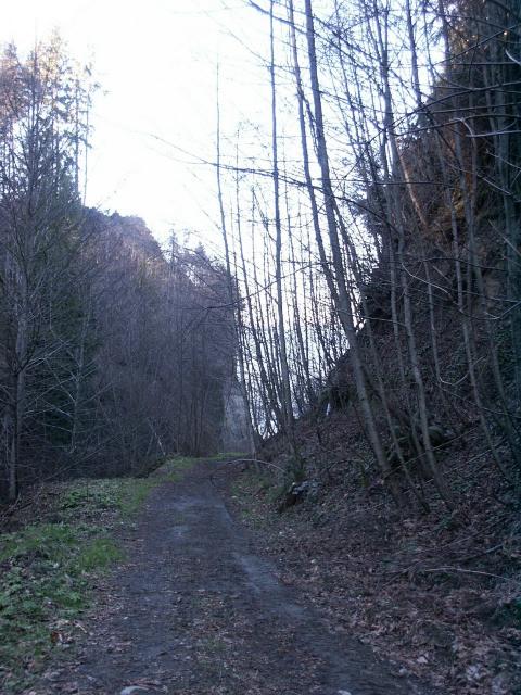 abr.jpg