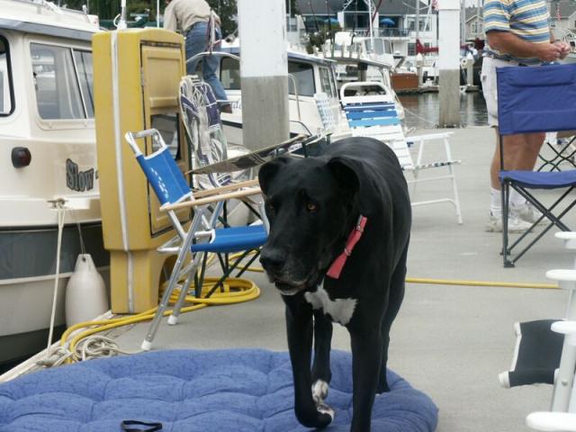 benicia-bash-12.jpg