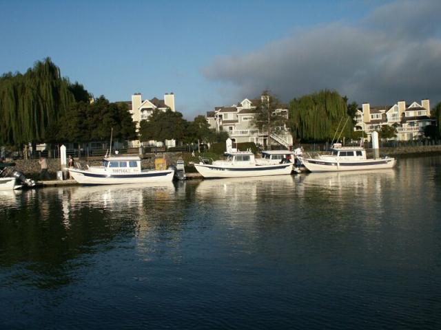 benicia-bash-16.jpg