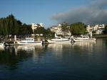 benicia-bash-16.jpg