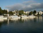 benicia-bash-17.jpg