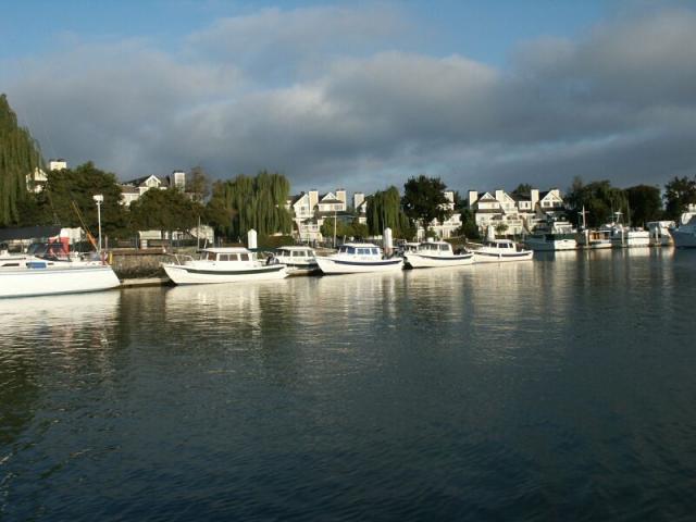 benicia-bash-18.jpg