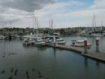 benicia-bash-2.jpg