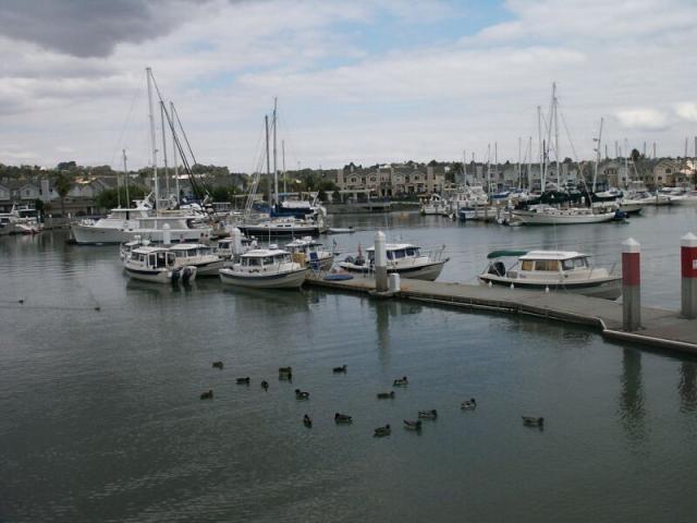 benicia-bash-3.jpg