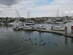 benicia-bash-3.jpg