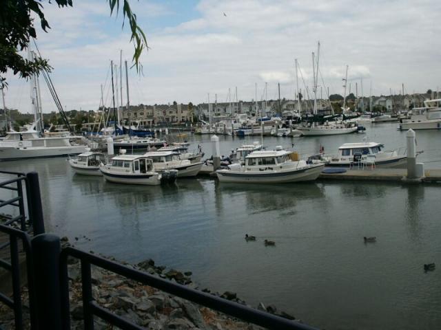 benicia-bash-5.jpg