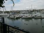 benicia-bash-5.jpg
