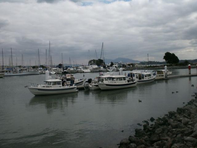 benicia-bash-6.jpg