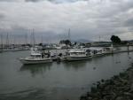 benicia-bash-6.jpg