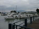 benicia-bash-7.jpg