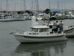 benicia-bash-8.jpg