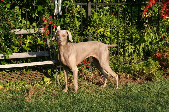 koko-sunning-1.jpg